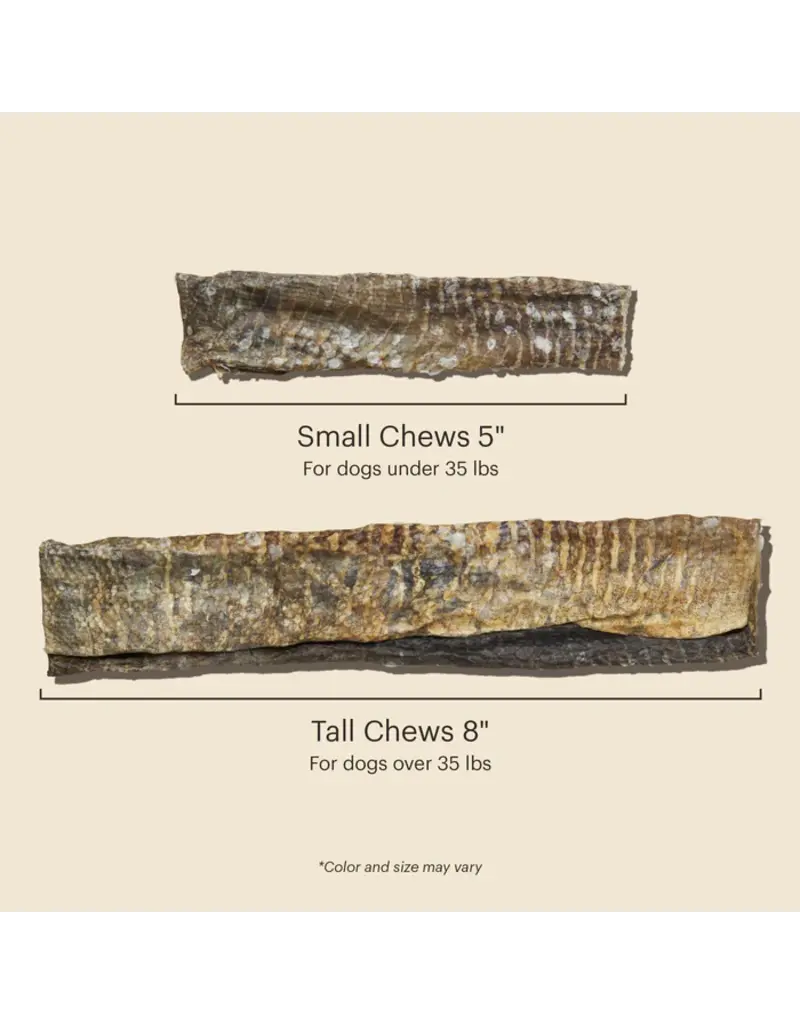 Honest Kitchen Honest Kitchen Ocean Chews Crispy Cod Fish Skins