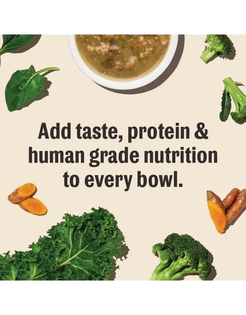 Honest Kitchen Honest Kitchen Superfood Pour Overs Turkey Stew 5.5 oz Carton