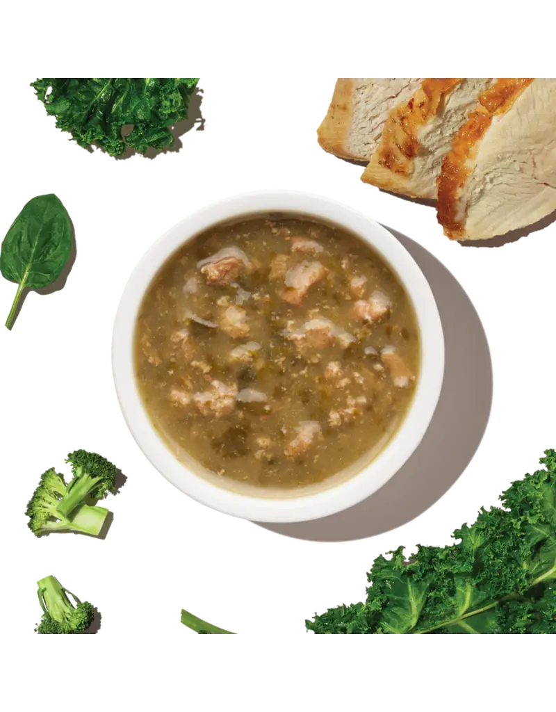 Honest Kitchen Honest Kitchen Superfood Pour Overs Turkey Stew 5.5 oz Carton