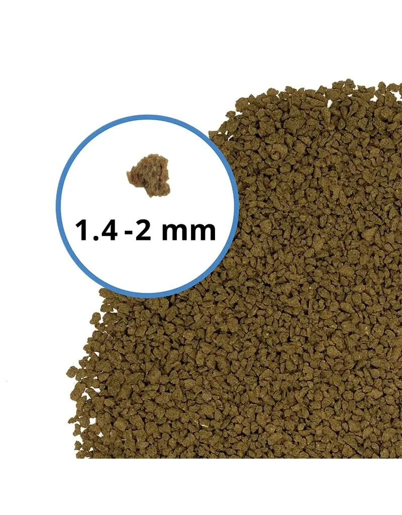 Fluval Fluval Bug Bites Bottom Feeder Granules 1.6 oz