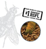 Fluval Fluval Bug Bites Pleco Sticks 4.6 oz