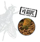 Fluval Fluval Bug Bites Betta Micro Granules 1.06 oz