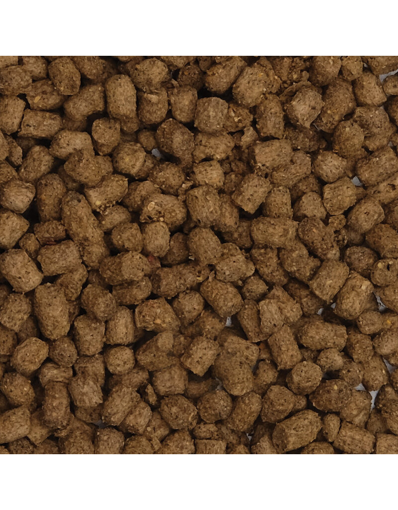 Fluval Fluval Bug Bites Cichlid Pellets