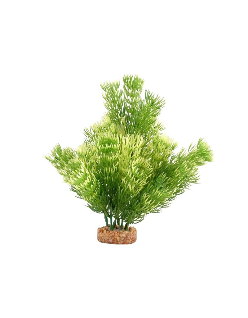Fluval Fluval Green Cabomba Aquarium Plant 8 In