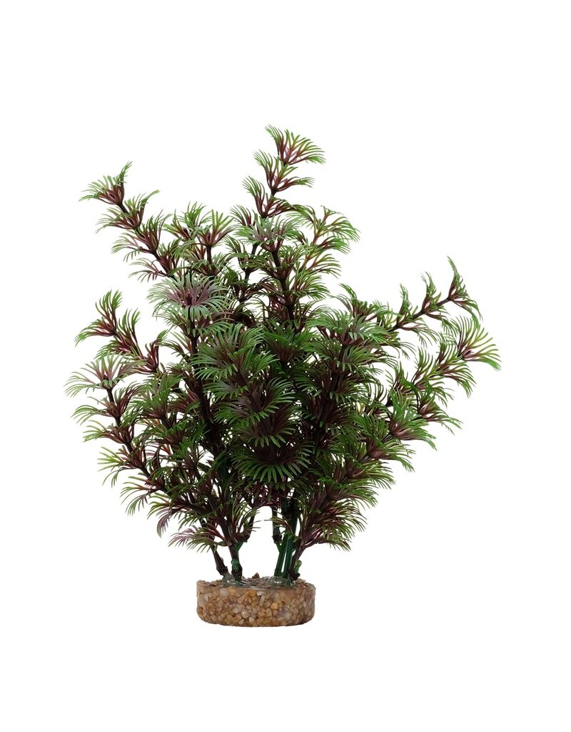 Fluval Fluval Red Green Cabomba Aquarium Plant 8 In