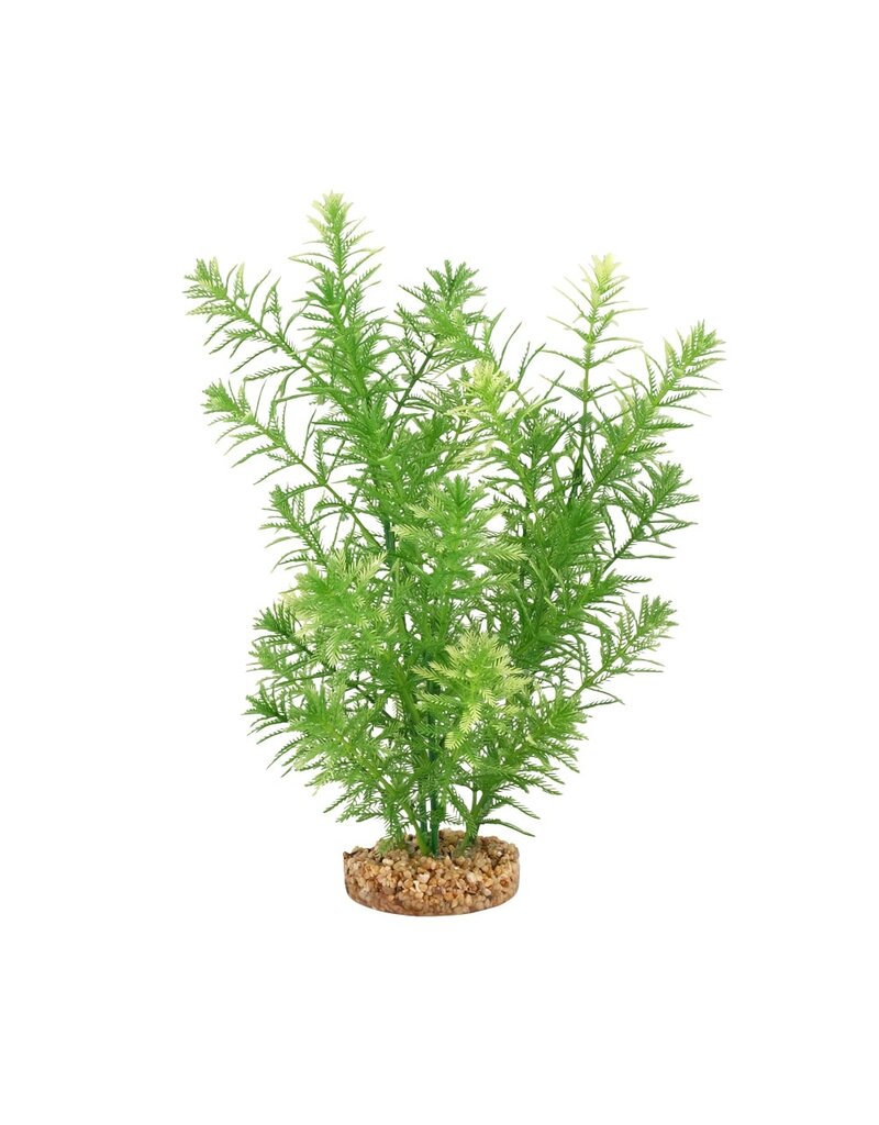 Fluval Fluval Green Myriophyllum Aquarium Plant 10 In
