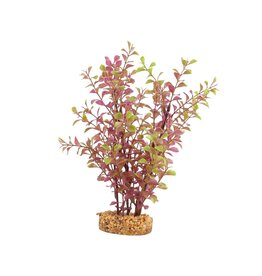 Fluval Fluval Red Ludwigia Aquarium Plant 10 In