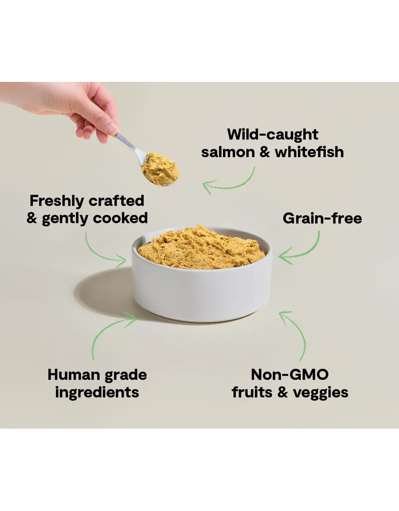 Open Farm Open Farm Gently Cooked Fish Frozen Dog Food