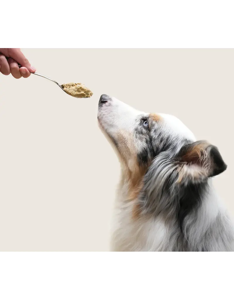 Open Farm Open Farm Gently Cooked Lamb Frozen Dog Food