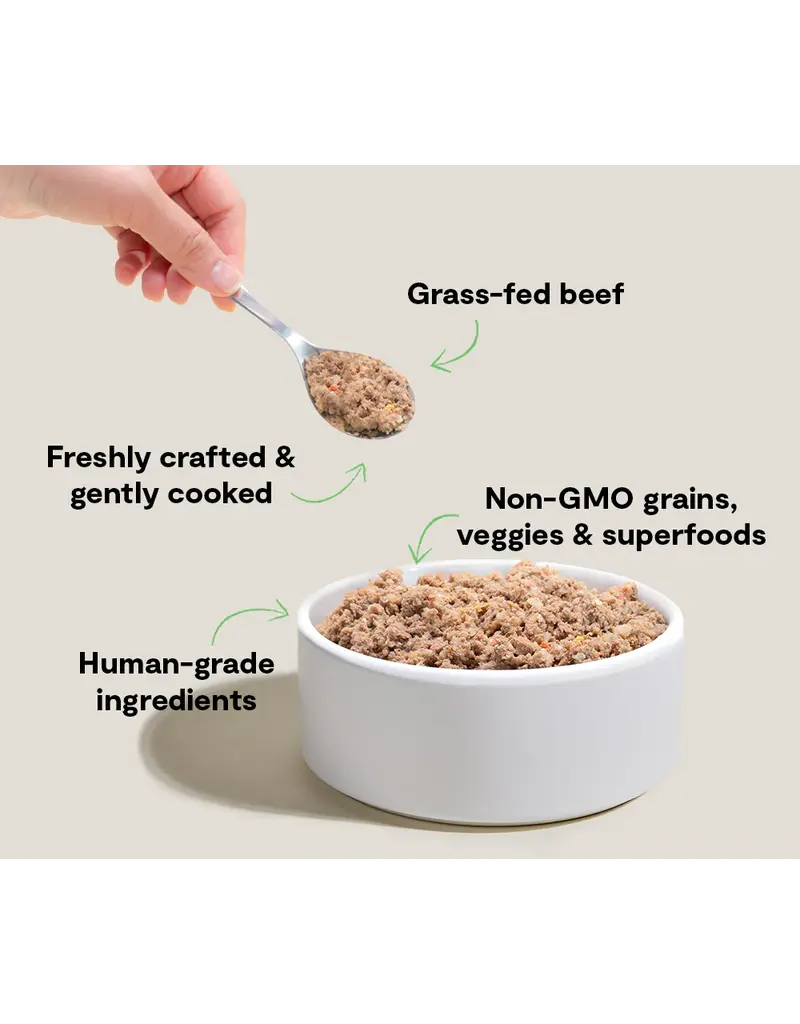 Open Farm Open Farm Goodbowl Beef & Grains Frozen Dog Food