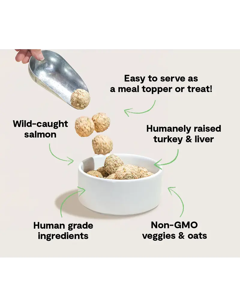 Open Farm Open Farm Meatballs Turkey & Salmon Frozen Dog Food 14 Oz