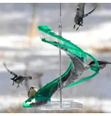 Panacea Products Cascade DNA Songbird Seed Bird Feeder Green 2 Lb