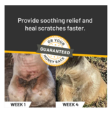 WF Young Silver Honey Horse Rapid Skin Relief (Max)  Strength Scratches Spray 6 Oz