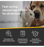 WF Young Silver Honey Hot Spot & Wound Care Ointment  Extra Strength  2oz