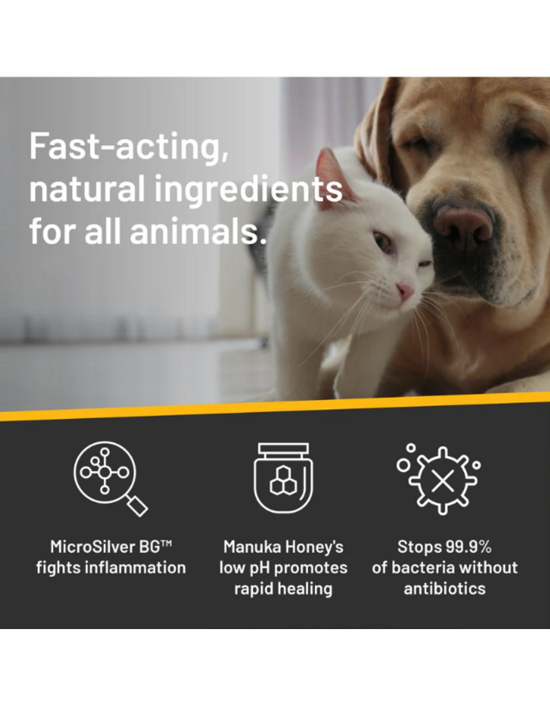 WF Young Silver Honey Hot Spot & Wound Care Ointment  Extra Strength  2oz