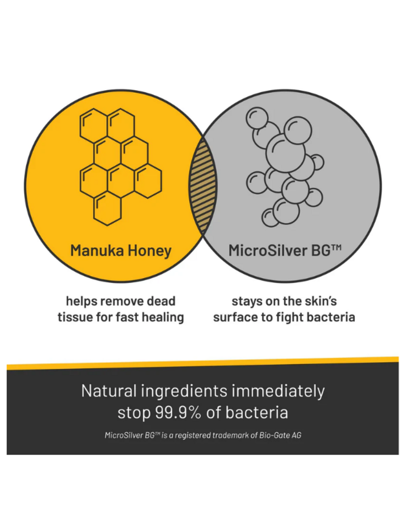 WF Young Silver Honey Rapid Wound Repair Gel Spray 8OZ