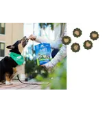 Ark Naturals Ark Naturals Soft Brushless Toothpaste Chews