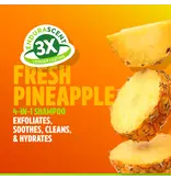 Tropiclean Tropiclean Itch Relief Pet Shampoo Pineapple 20 Oz