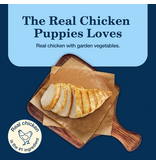 Blue Buffalo Blue Buffalo Homestyle Recipe Puppy Chicken Dinner Canned Dog Food 12.5 oz   can