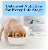 Blue Buffalo Blue Buffalo Homestyle Recipe Puppy Chicken Dinner Canned Dog Food 12.5 oz   can