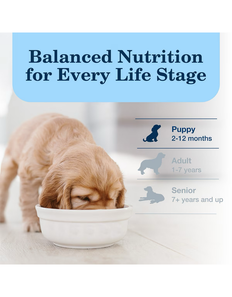 Blue Buffalo Blue Buffalo Homestyle Recipe Puppy Chicken Dinner Canned Dog Food 12.5 oz   can