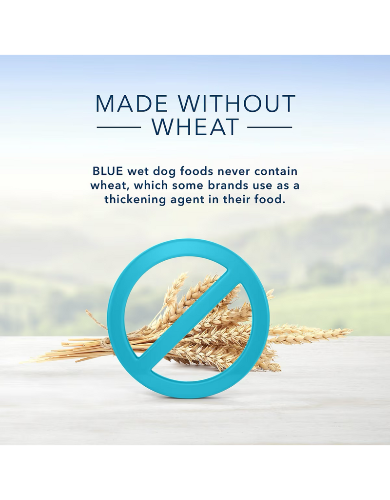 Blue Buffalo Blue Buffalo Homestyle Recipe Turkey Meatloaf Dinner Dog Food 12.5 oz can