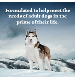 Blue Buffalo Blue Buffalo Wilderness Wolf Creek Stew Savory Salmon Canned Dog 12.5 oz   can