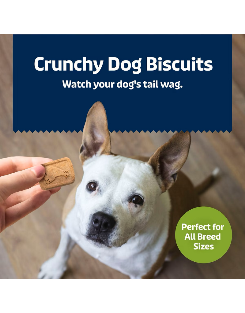 Blue Buffalo Blue Buffalo Health Bars Apple/Yogurt 16oz