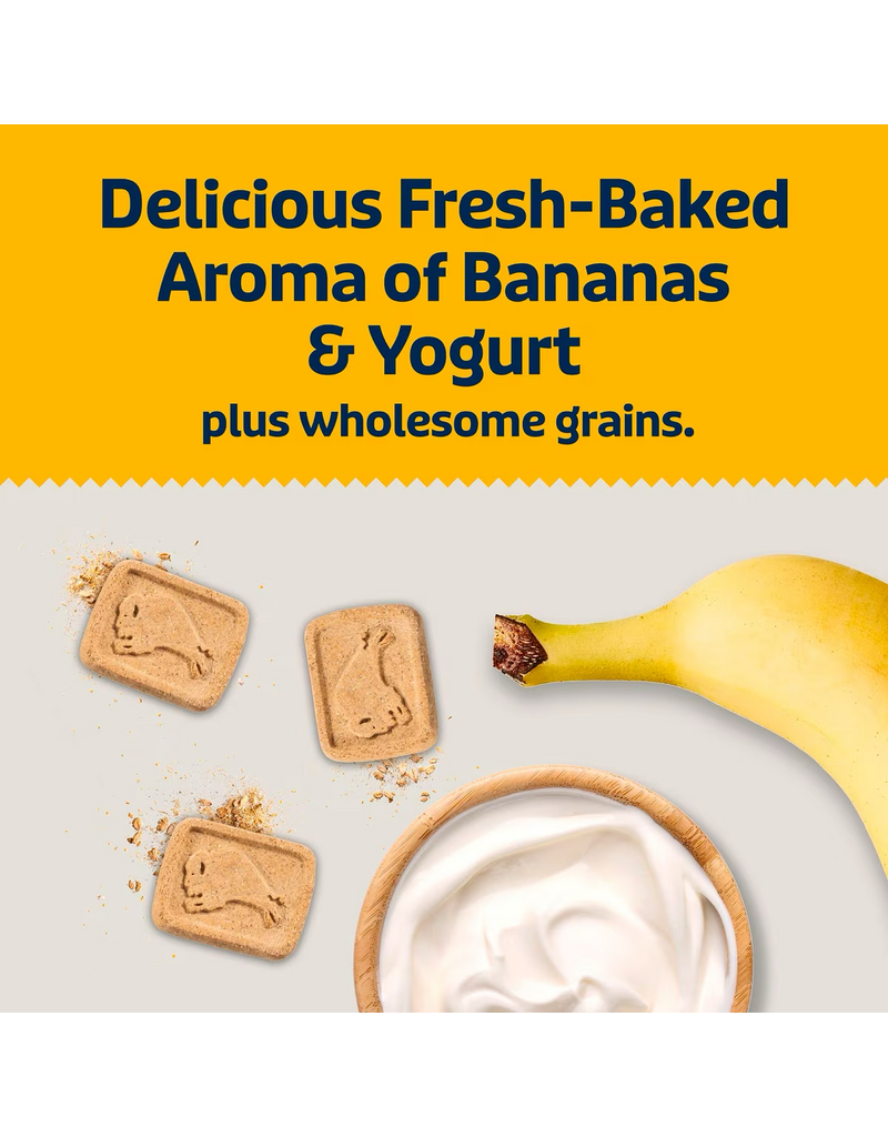 Blue Buffalo Blue Buffalo Health Bars Banana/Yogurt 16oz
