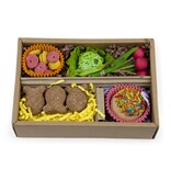 Prevue Pet Bento Chew & Shred Box