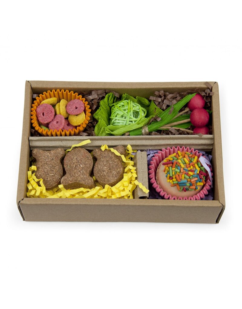 Prevue Pet Bento Chew & Shred Box