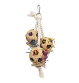 Prevue Pet Cluster of Fun Bird Toy