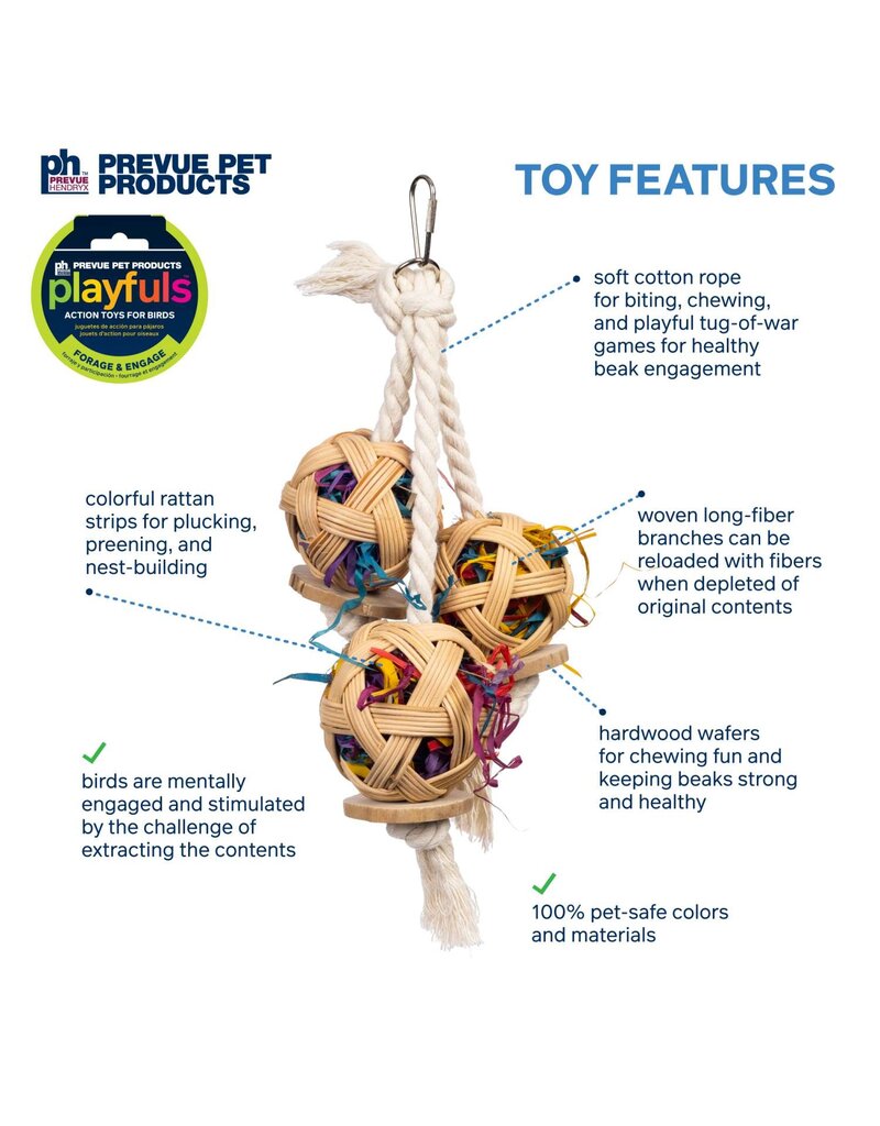 Prevue Pet Cluster of Fun Bird Toy