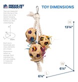 Prevue Pet Cluster of Fun Bird Toy