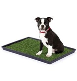 Prevue Pet Tinkle Turf Dog Housetraining Pad