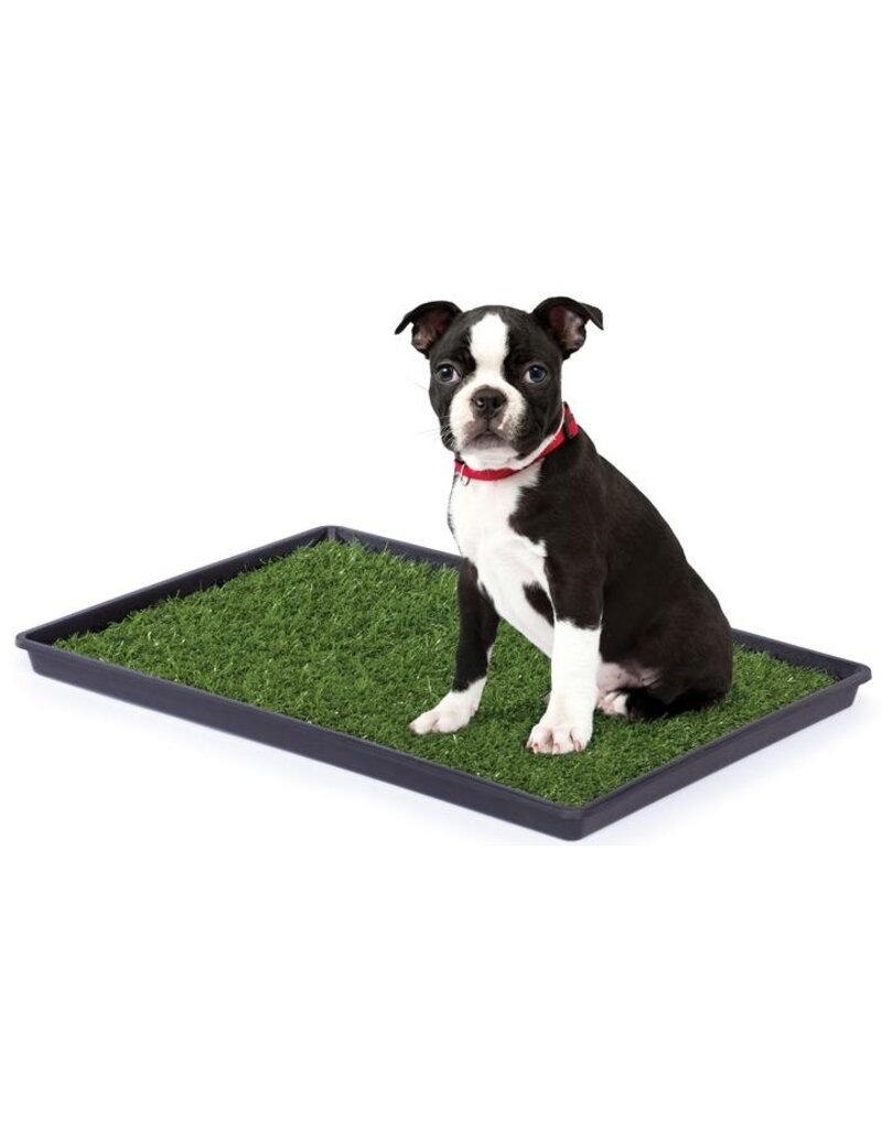 Prevue Pet Tinkle Turf Dog Housetraining Pad