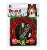 Prevue Pet Prevue Tie Out Cable Trolley Set For Dogs To 65 Lb 50 Ft