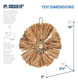 Prevue Pet Raffia Round Bird Toy