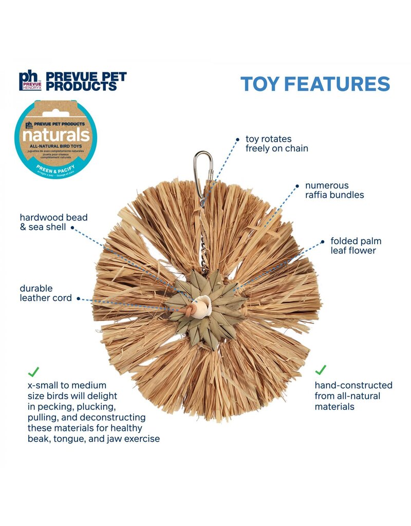 Prevue Pet Raffia Round Bird Toy