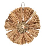 Prevue Pet Raffia Round Bird Toy