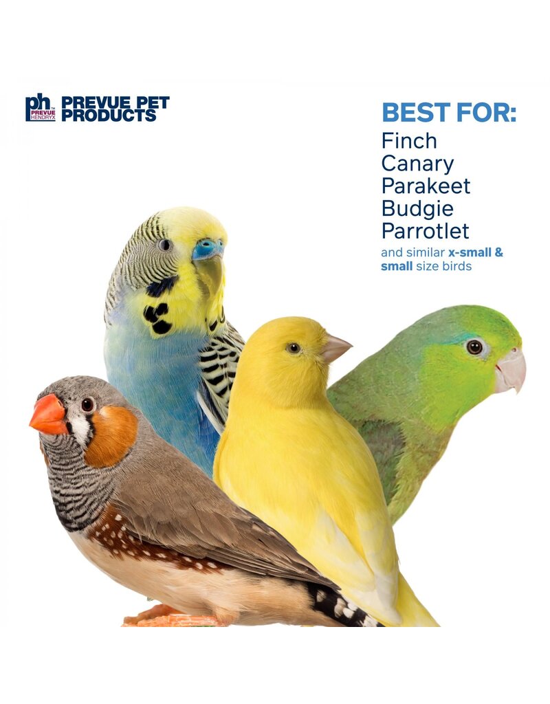 Prevue Pet Fairy Queen Bird Toy