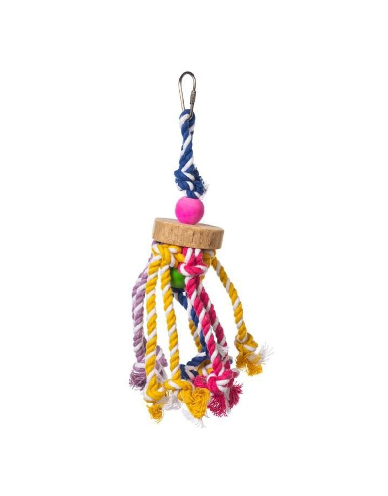Prevue Pet Court Jester Bird Toy