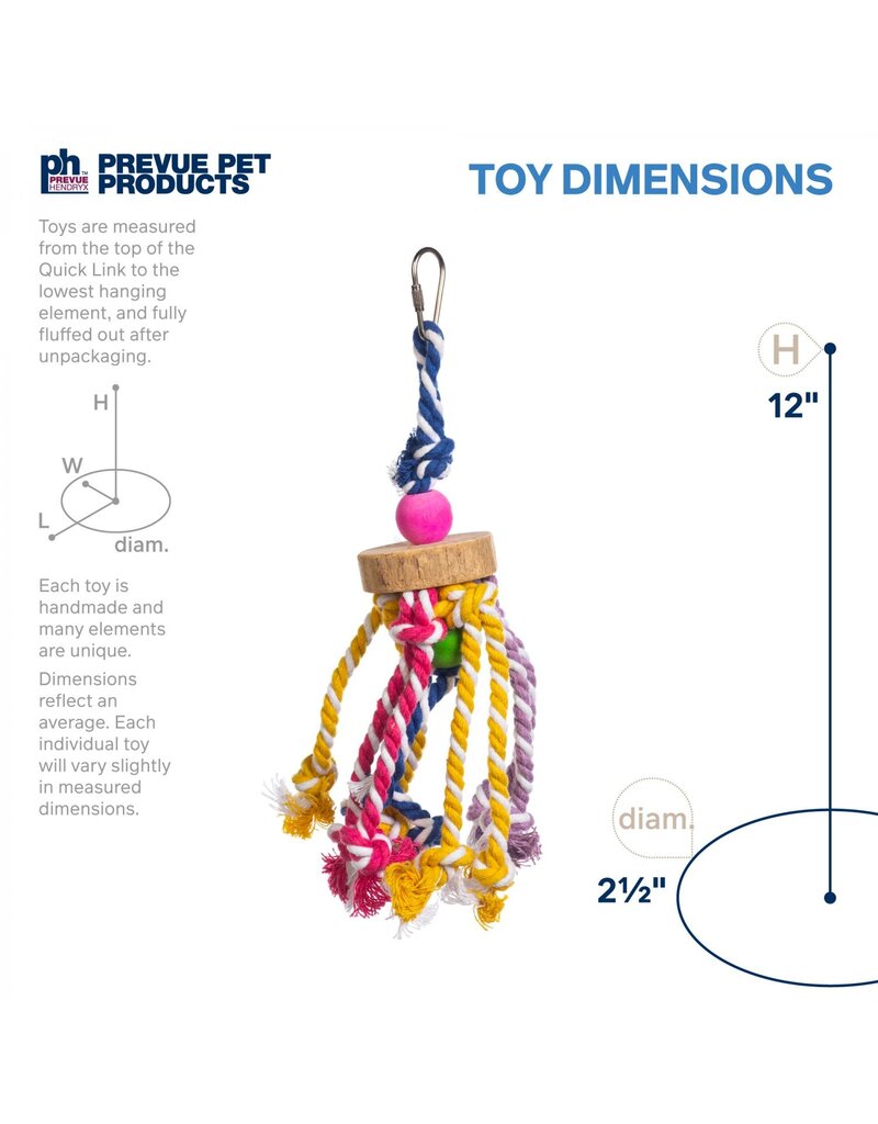 Prevue Pet Court Jester Bird Toy