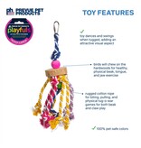 Prevue Pet Court Jester Bird Toy