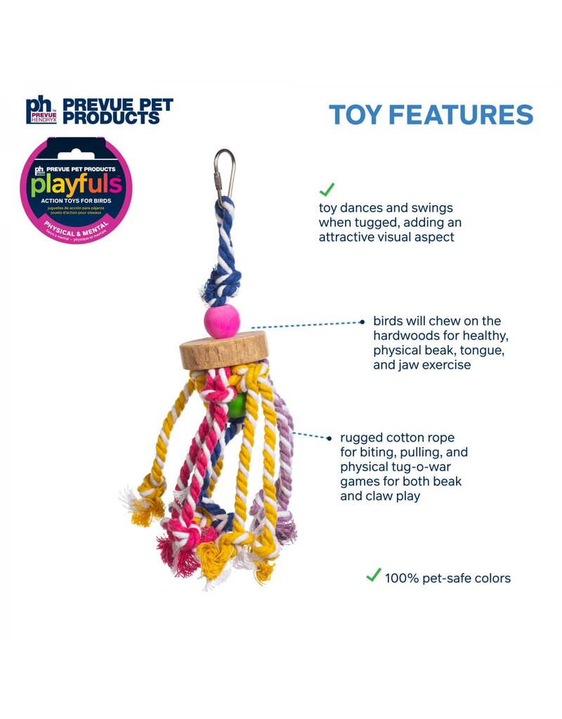 Prevue Pet Court Jester Bird Toy