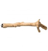 Prevue Pet Prevue Pet Y-Branch Coffea Wood Perch 18in