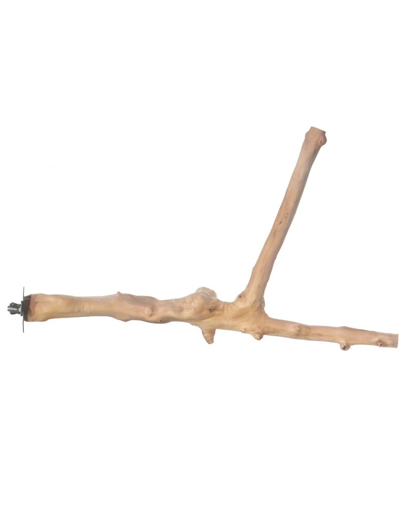 Prevue Pet Prevue Pet Y-Branch Coffea Wood Perch 18in