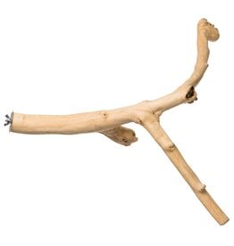 Prevue Pet Prevue Pet Y-Branch Coffea Wood Perch 24in