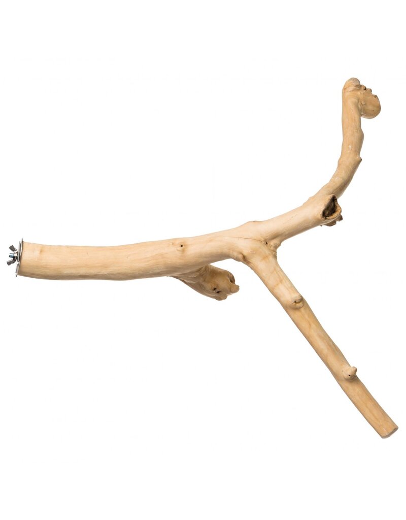 Prevue Pet Prevue Pet Y-Branch Coffea Wood Perch 24in