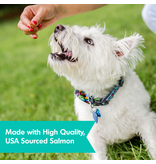 Dogswell Dogswell Skin & Coat Mini Jerky Dog Treat Salmon 4 Oz